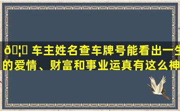 🦆 车主姓名查车牌号能看出一生的爱情、财富和事业运真有这么神